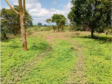 Venta Finca Filandia Quindio - Colombia  COD: 8975606