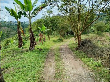 Venta Finca Filandia Quindio - Colombia  COD: 8975606