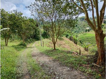 Venta Finca Filandia Quindio - Colombia  COD: 8975606