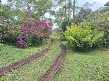 Venta Finca Filandia Quindio - Colombia  COD: 8975606