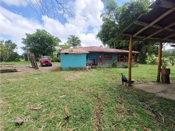 Venta Finca Filandia Quindio - Colombia  COD: 8975606