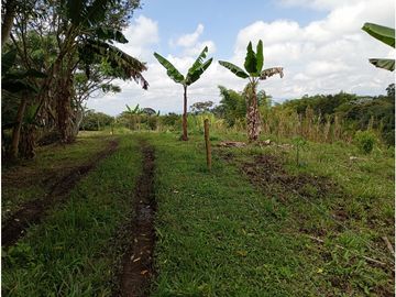 Venta Finca Filandia Quindio - Colombia  COD: 8975606