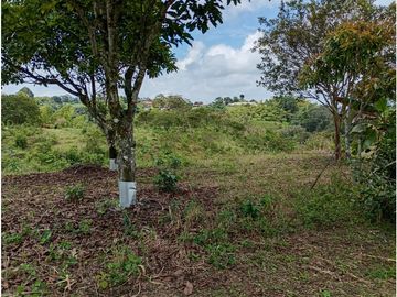 Venta Finca Filandia Quindio - Colombia  COD: 8975606