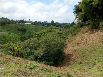 Venta Finca Filandia Quindio - Colombia  COD: 8975606