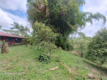 Venta Finca Filandia Quindio - Colombia  COD: 8975606