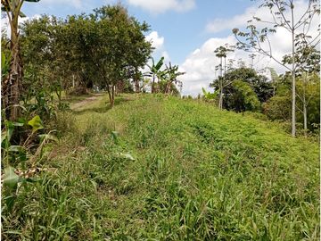 Venta Finca Filandia Quindio - Colombia  COD: 8975606