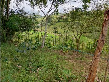Venta Finca Filandia Quindio - Colombia  COD: 8975606