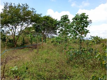 Venta Finca Filandia Quindio - Colombia  COD: 8975606