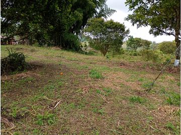 Venta Finca Filandia Quindio - Colombia  COD: 8975606