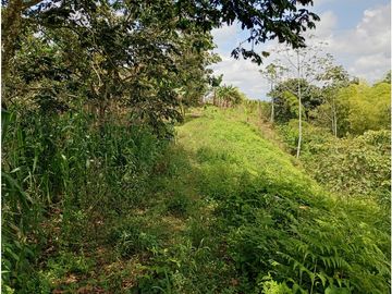 Venta Finca Filandia Quindio - Colombia  COD: 8975606