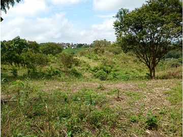 Venta Finca Filandia Quindio - Colombia  COD: 8975606