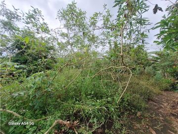 Venta Finca Filandia Quindio - Colombia  COD: 8975606