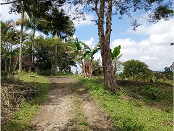 Venta Finca Filandia Quindio - Colombia  COD: 8975606