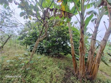 Venta Finca Filandia Quindio - Colombia  COD: 8975606