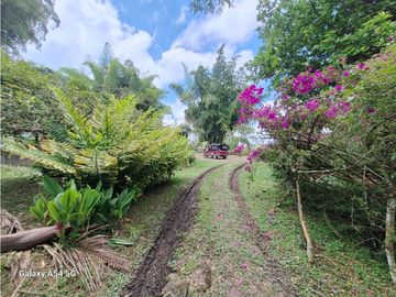 Venta Finca Filandia Quindio - Colombia  COD: 8975606