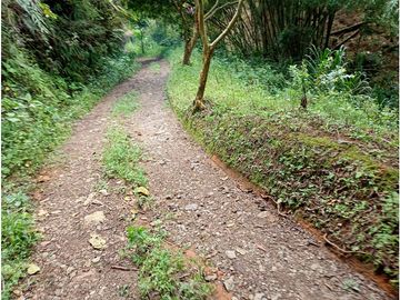 Venta Finca Filandia Quindio - Colombia  COD: 8975606