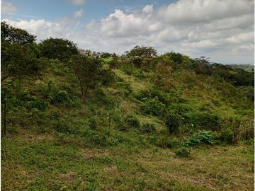 Venta Finca Filandia Quindio - Colombia  COD: 8975606