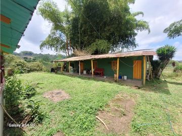 Venta Finca Filandia Quindio - Colombia  COD: 8975606