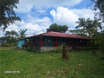 Venta Finca Filandia Quindio - Colombia  COD: 8975606