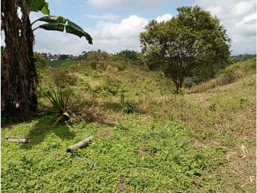 Venta Finca Filandia Quindio - Colombia  COD: 8975606