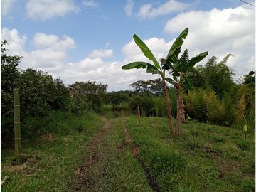 Venta Finca Filandia Quindio - Colombia  COD: 8975606