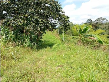 Venta Finca Filandia Quindio - Colombia  COD: 8975606