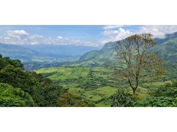 SE VENDE CASA FINCA EN EL SUROESTE ANTIOQUEÑO