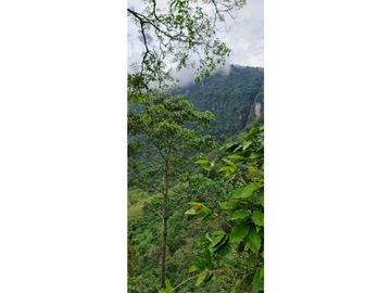 SE VENDE CASA FINCA EN EL SUROESTE ANTIOQUEÑO
