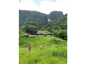 SE VENDE CASA FINCA EN EL SUROESTE ANTIOQUEÑO