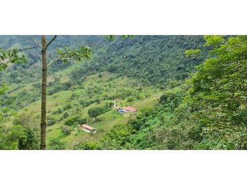 SE VENDE CASA FINCA EN EL SUROESTE ANTIOQUEÑO
