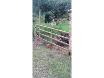 SE VENDE CASA FINCA EN EL SUROESTE ANTIOQUEÑO