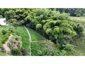 EN VENTA CASA CAMPESTRE UBICADA EN CIRCASIA QUINDIO