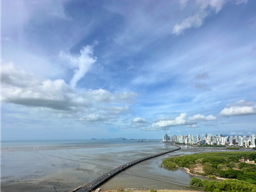 ALQUILO VENDO APARTAMENTO AMOBLADO EN COSTA DEL ESTE, PH ASIA (5)
