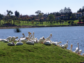 Casa en Preventa Cumbres del Lago Juriquilla Queretaro