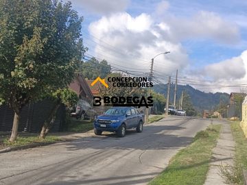 CHIGUAYANTE