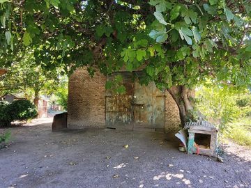 Venta Chacra  con Residencia y Galpón 3,5 has Allen. R Negro