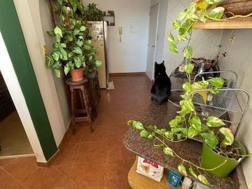 Departamento en venta - 4 Dormitorios 2 Baños - 110Mts2 - Palermo