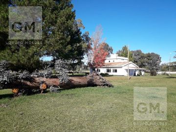 Excelente casa quinta en venta con pileta, quincho y parrilla!
