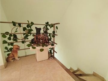 Se Vende Casa en Condominio en el Norte de Armenia, Barrio Providencia