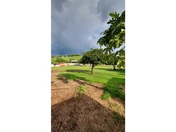 SE VENDE FINCA EN ANDALUCIA VALLE.