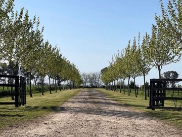 VENTA CON ANTICIPO DE TERRENO en S.MARIA DE LOBOS