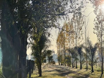 VENTA CON ANTICIPO DE TERRENO en S.MARIA DE LOBOS