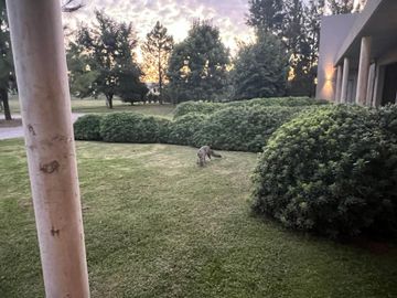 LUJOSA E IMPONENTE CASA EN FINCAS DE SAN VICENTE