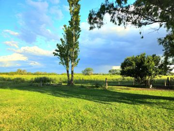 Campo en venta 33 hectareas San Andrés de Giles