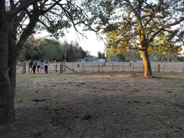 Quinta en Venta- 12 has con Pileta- Verónica