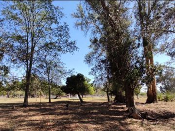 Quinta en Venta- 12 has con Pileta- Verónica