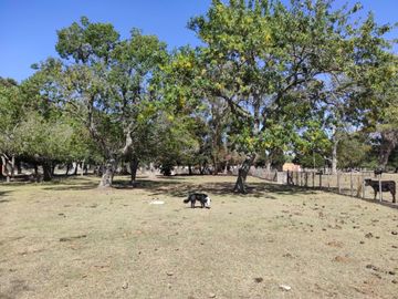 Quinta en Venta- 12 has con Pileta- Verónica