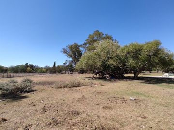 Quinta en Venta- 12 has con Pileta- Verónica