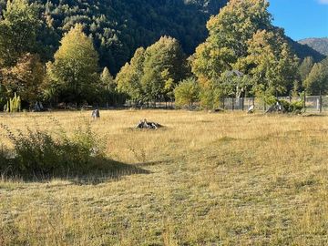 Parcela en Venta en Malalcahuello