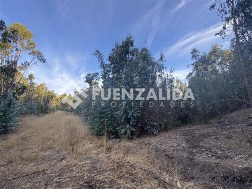 Sitio en Venta en Fundo Atalaya